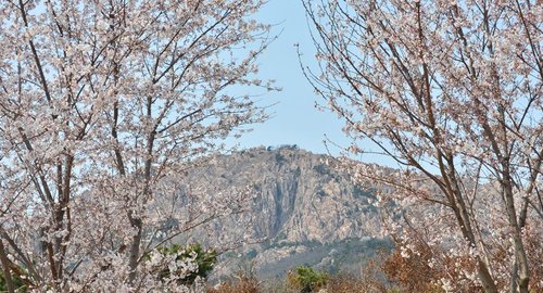 YjEDyp_500x270_00 藏马山双人门票住宿套餐3