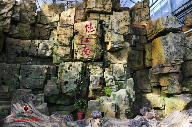 b86386c1981a2a5bcaf6c7eb5276225b 藏马山蓝莓小镇